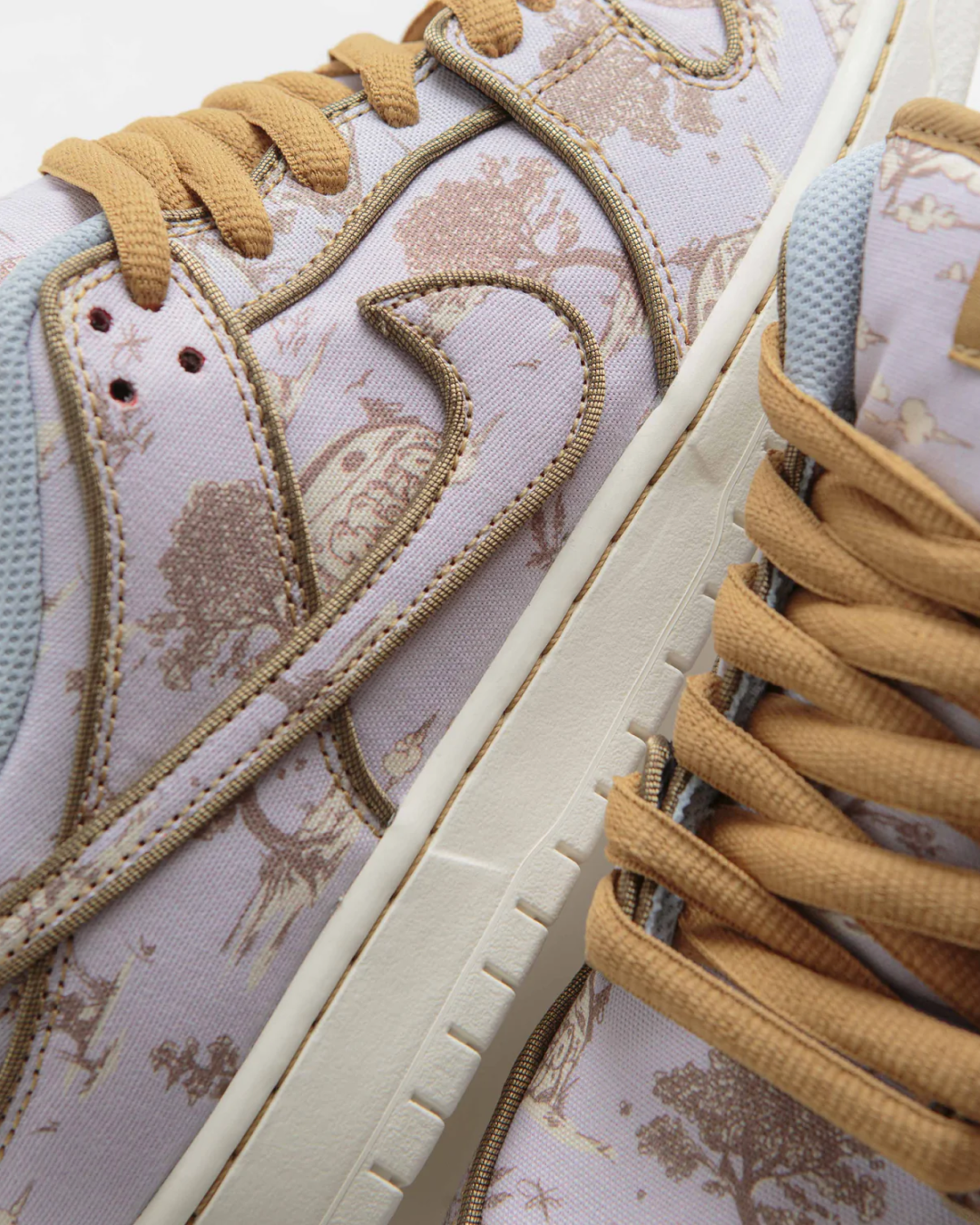 Nike SB City of Style Dunk Low Pro Premium Shoes